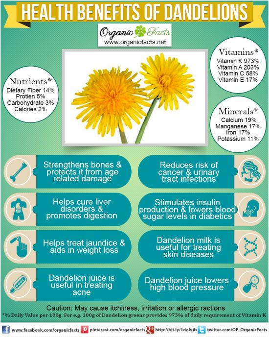 How to Make Dandelion Tea to Cure Cancer and Treat Other Ailments